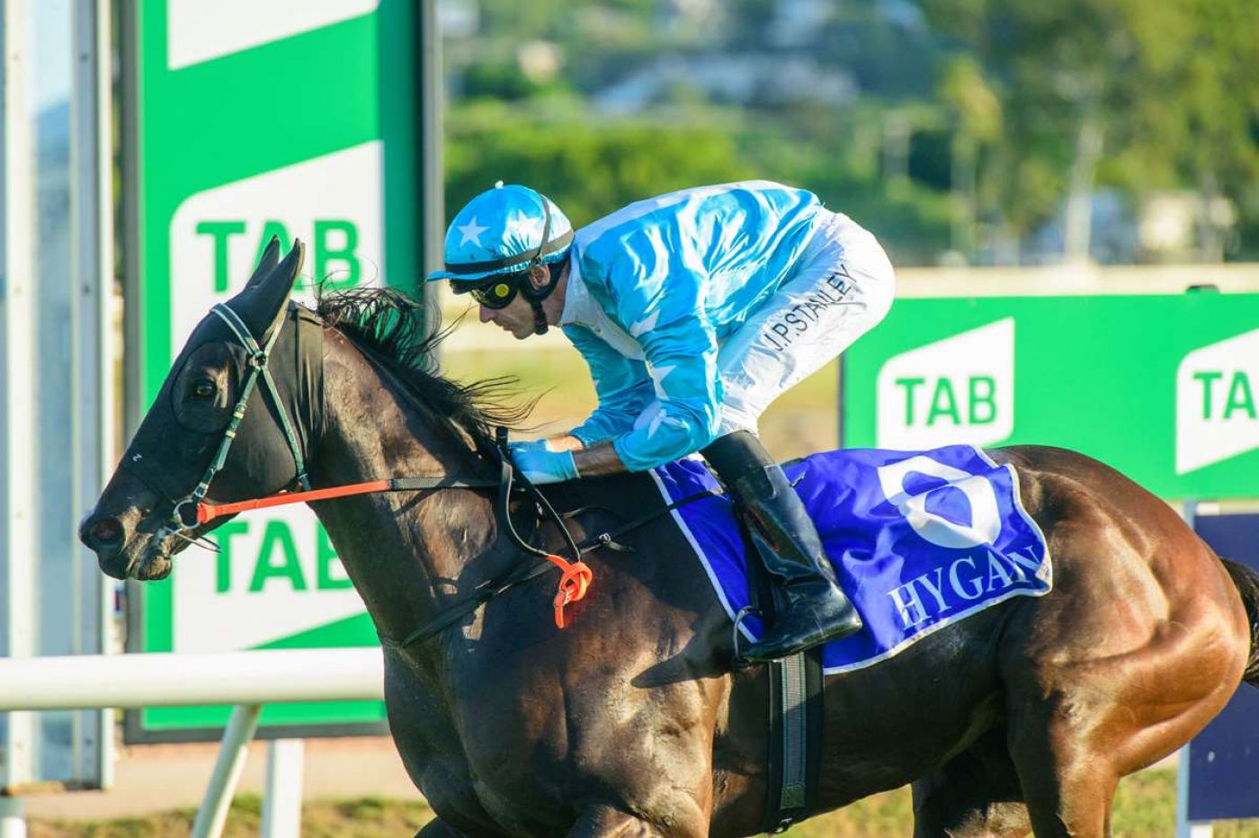 Bad Boy a Star with Punters with Rousing Cluden Win