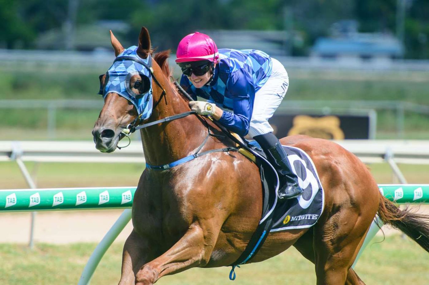 Vibration Shakes Off Also Ran Tag with Cluden Hat-Trick