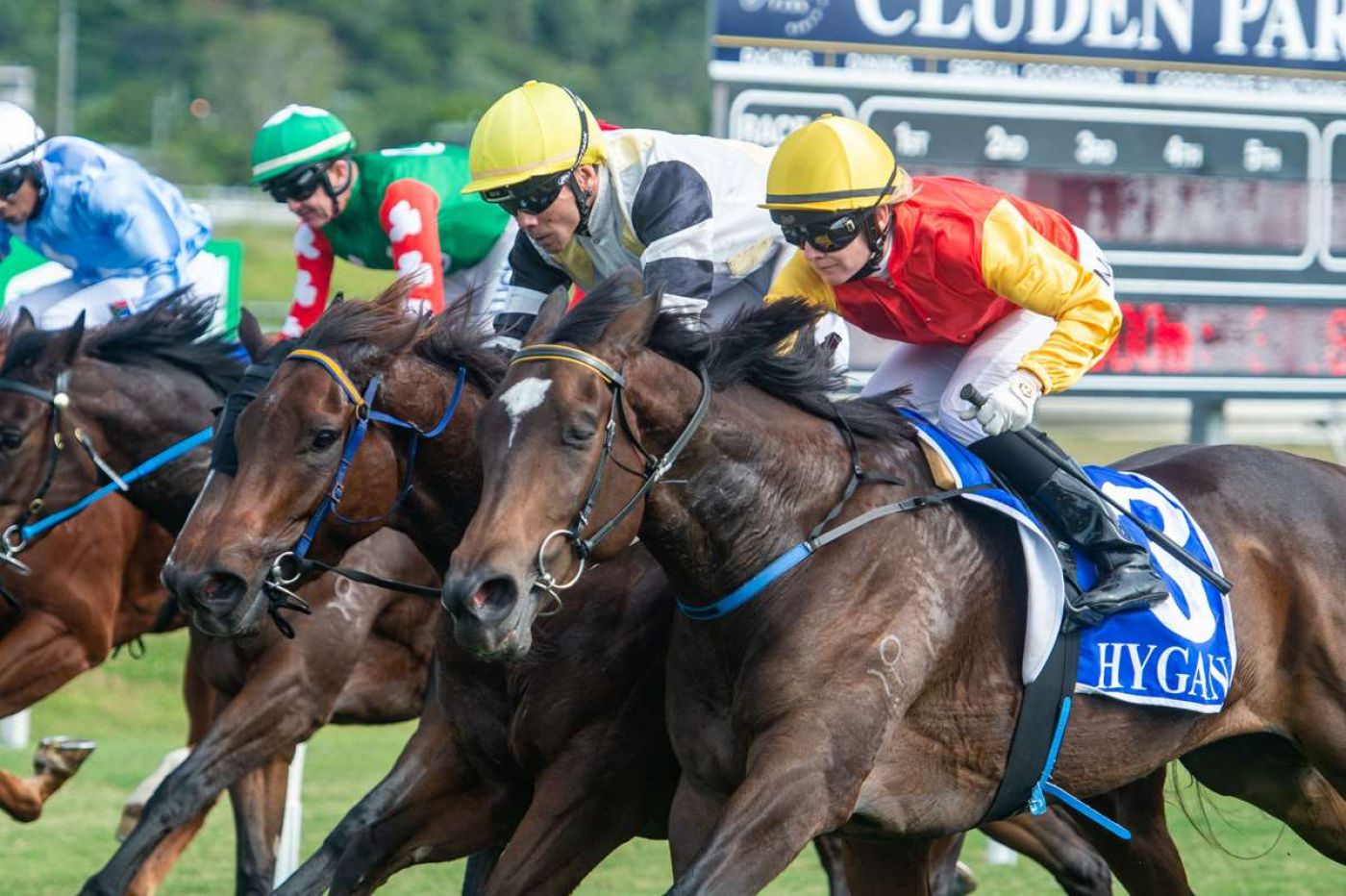 Bub Back for Another Shot at the Dollars
