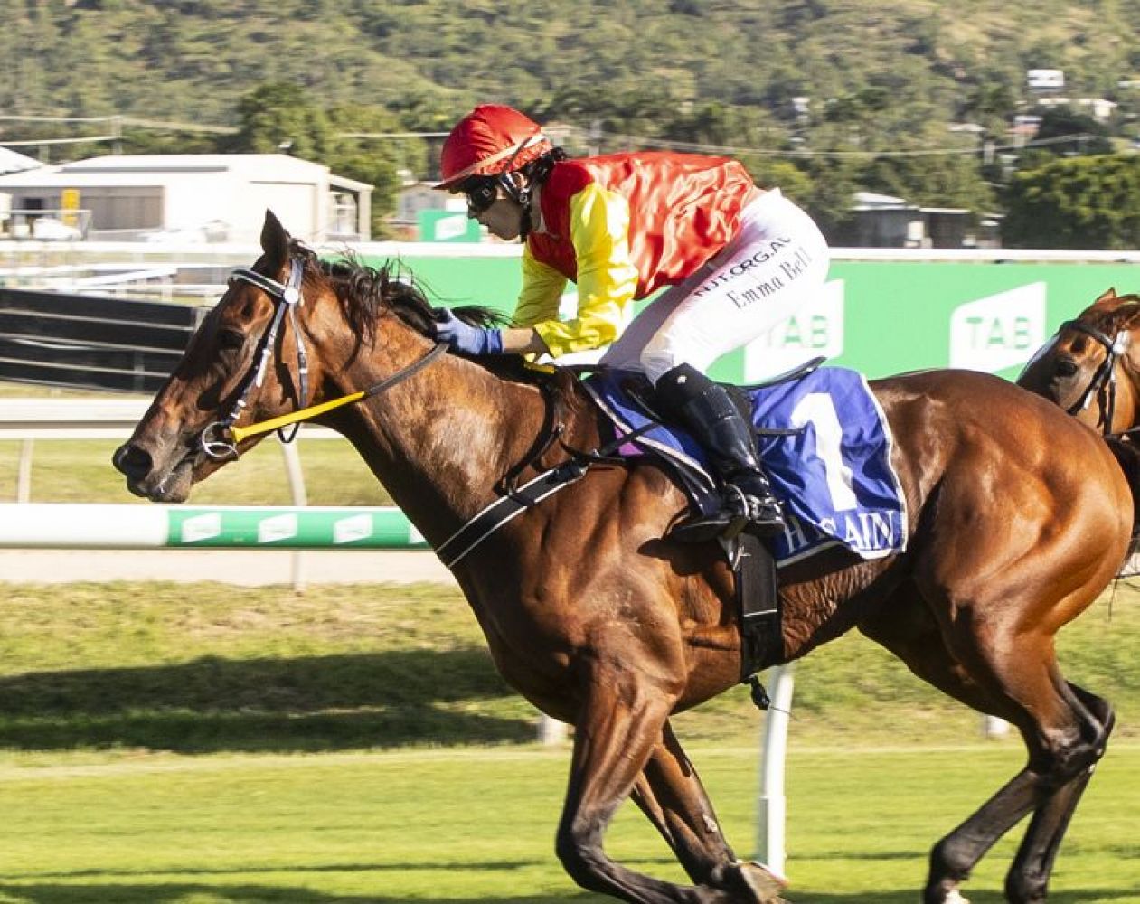 Bush champ comes to town with all guns blazing