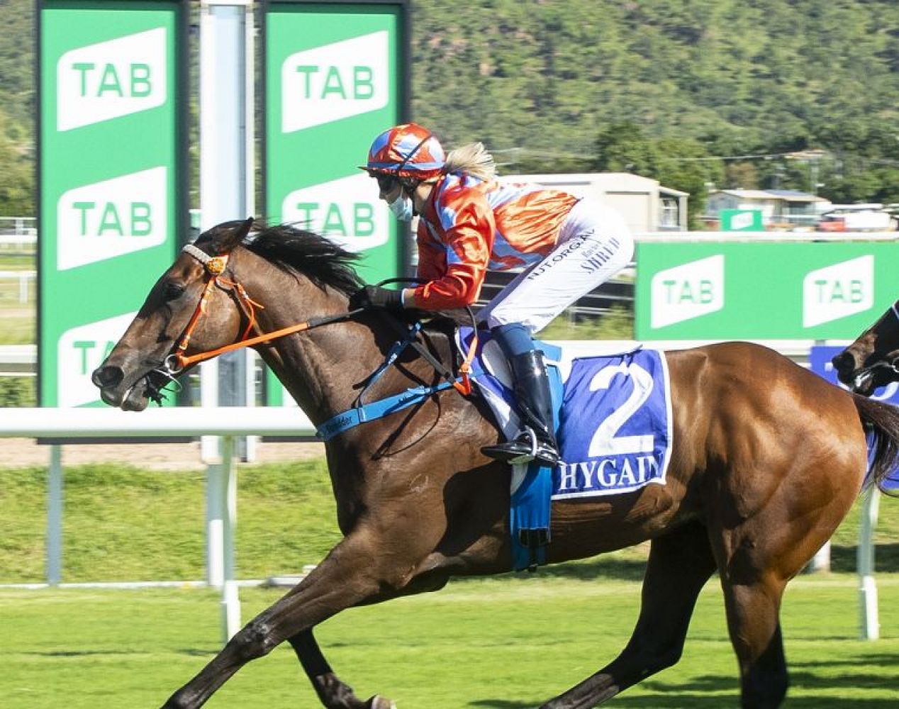 Fiancee Rachel lifts winning Wilo to rare treble