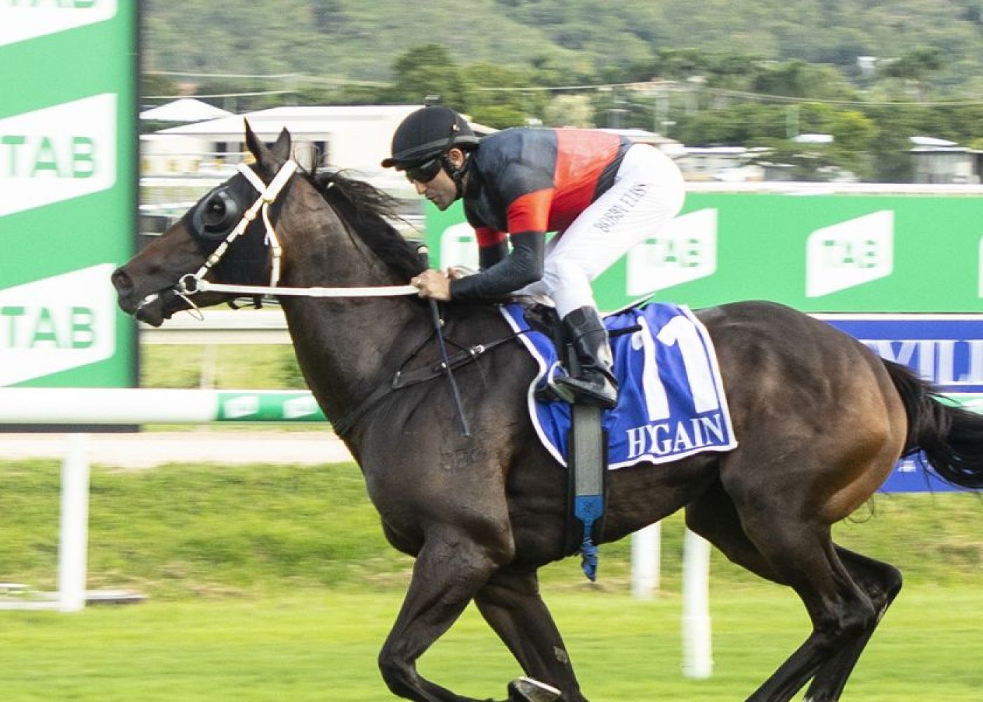 Bobby back with a bang and keen for more Cluden wins