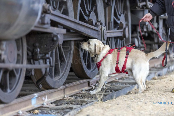 CSSC - Railway Trial ACT - 16 Aug 2025