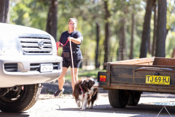 Hills - 14 Sep 2025 - Masters Vehicles Novice Vehicles