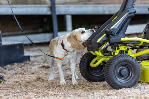 WSSW - Ultimate - 27 Dec 2025