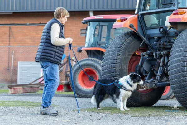 WSSW - Excellent Vehicles - 25 July 2026