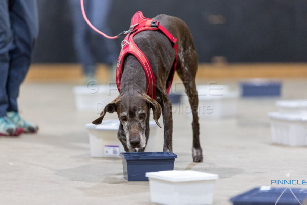 NSW State Titles - 23 Aug 2026 - Excellent Containers B PM