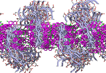 A material that mimics cell membranes A material that mimics cell membranes