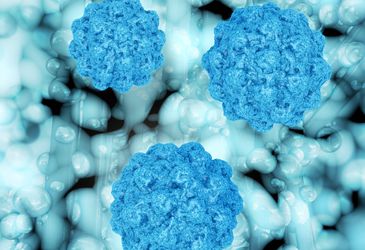 Finally, a way to culture norovirus in the lab Finally, a way to culture norovirus in the lab