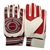 Goalie Gloves - Mens