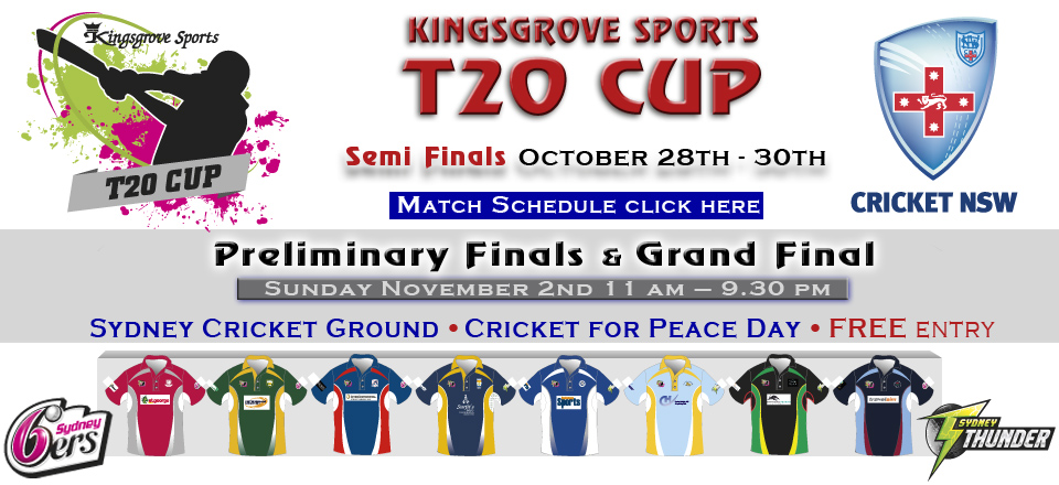 kingsgrove sports cricket shoes