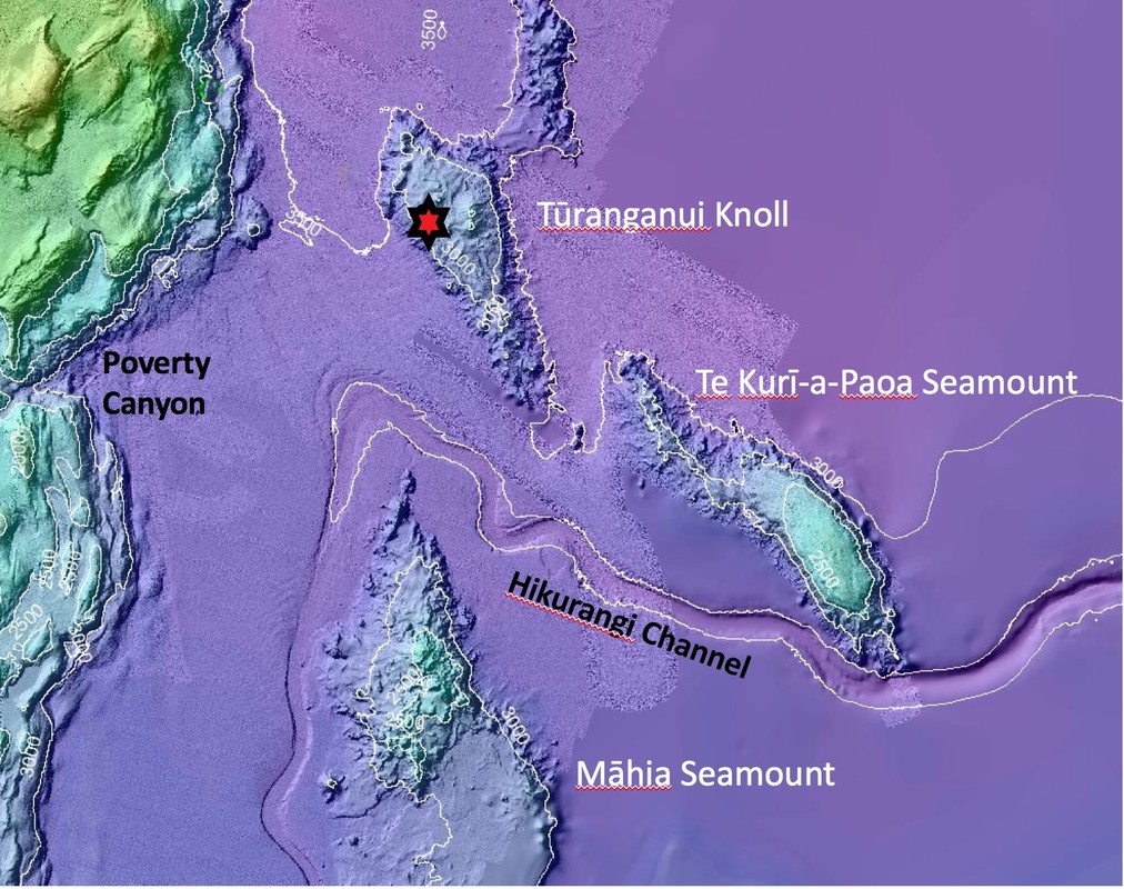 A bathymetric map of location (U1526) on top of a seamount.