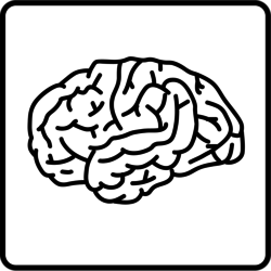 Intellectual small