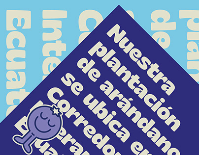 We are anything but blue over Spanish studio Maat's amazing identity for Arandino!