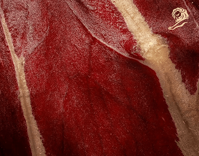 We adore Spanish graphic designer Sazky's delicous designs for Burger King's Meat!