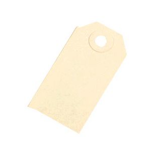 Avery Heavy Duty Buff Shipping Tags Size 1 100 Pack