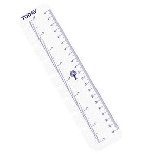 Collins Debden Dayplanner Today Ruler Refill 2 Pack