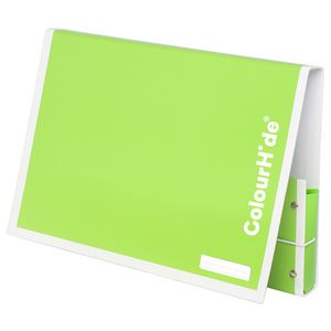 ColourHide My Handy Document Box A4 Green