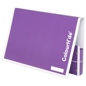 ColourHide My Handy Document Box A4 Purple