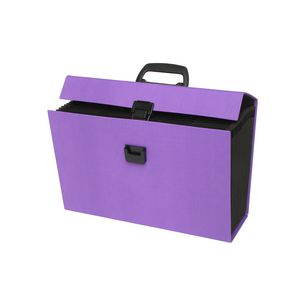 ColourHide My Trusty Expanding Carry File Purple
