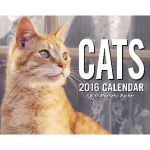 2016 Mini Day to Day Calendar Cats