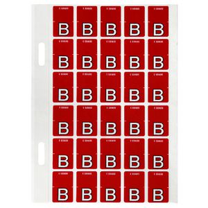 Avery Lateral File Top Tab Label 'B' 150 Pack