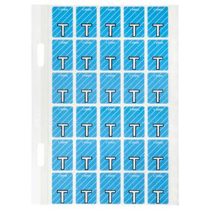 Avery Lateral File Top Tab Label 'T' 150 Pack