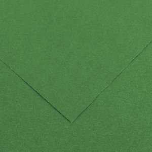 Colorline A4 Paper 300gsm Moss Green