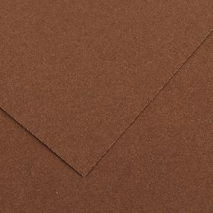 Colorline A4 Paper 300gsm Nut
