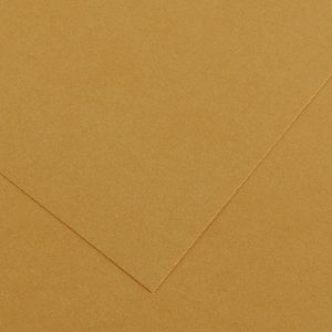 Colorline 50 x 65cm Paper 300gsm Leather