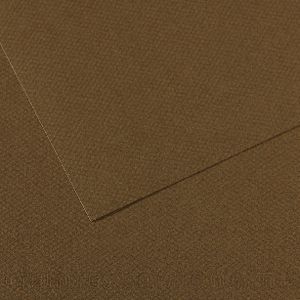 Mi-Teintes 50 x 65cm Paper 160gsm Tobacco