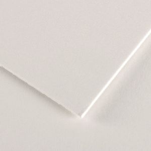 Canson Conservation Board 600 x 800mm 1.8mm White