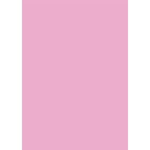 Paper Chic 120gsm A4 Paper Pink Lemonade 10 Pack