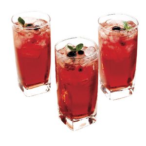 Piazza Hi-Ball Glasses 405mL 6 Pack