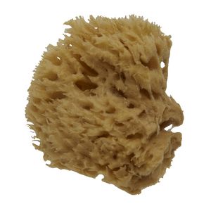 Royal & Langnickel Sea Wool Sponge 3"