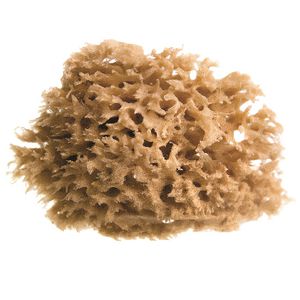 Royal & Langnickel Sea Wool Sponge 4"