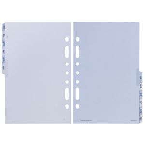 Collins Debden Dayplanner Desk Organiser Jan-Dec Tabs Refill