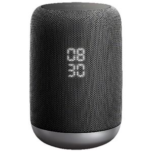 Sony Wireless Speaker with Google Assistant Black LF-S50G