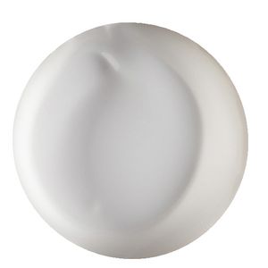 Educational Colours Liquitemp Paint 2L White
