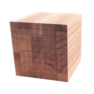 Learning Can Be Fun Wooden Block