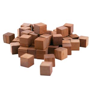 Learning Can Be Fun Wooden Cubes 100 Pack