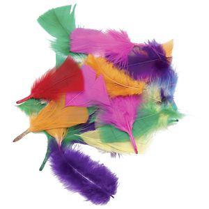 ELC Coloured Feathers 18g