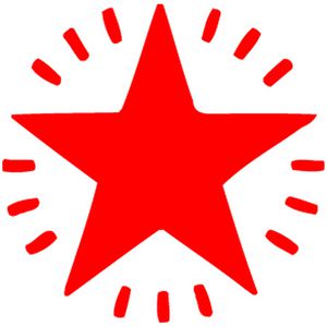 ELC Merit Stamp Twinkle Star