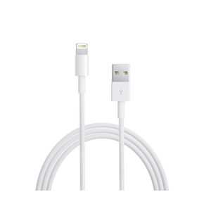 Apple Lightning To USB Cable 0.5m