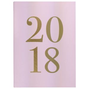 Otto B6 WTV 2018 Diary 144 Page Pink