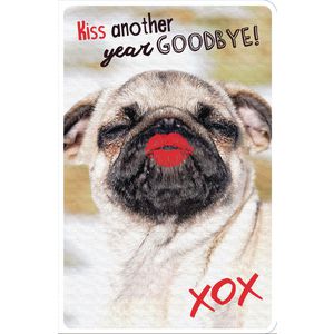 Frankly Funny Birthday Card Pug | Officeworks