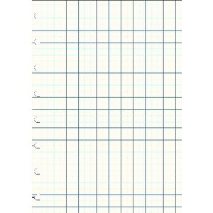 Filofax A5 Squared Notes White
