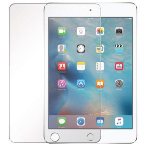 Cleanskin Glass Screen Protector iPad 9.7"