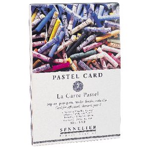 Sennelier La Carte Soft Pastel Pad 12 Sheets 250gsm 16 x 24cm