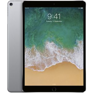 iPad Pro 10.5" 256GB WiFi Space Grey